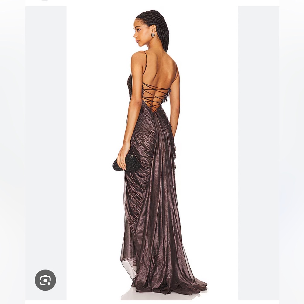 Maria lucia hohan X revolve Victoria gown
